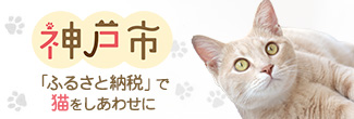 神戸市：人と猫とのハーモニーが聴こえる街