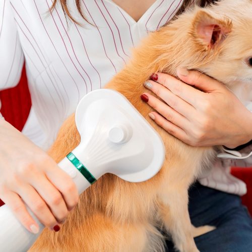 Z_EN_1466　〇 – コピー