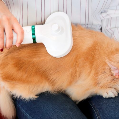 Z_EN_1473　〇 – コピー